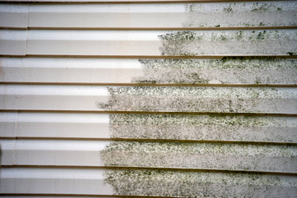 Best Siding Painting and Refinishing  in Waggaman, LA